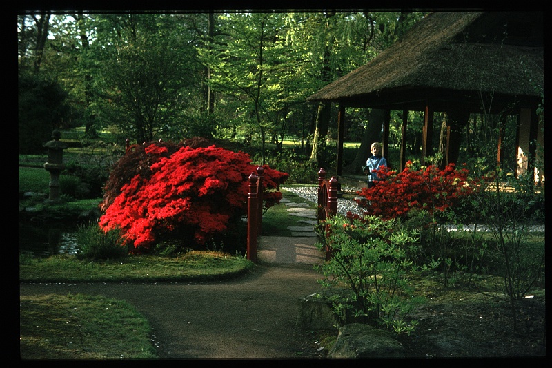 24.JapanseTuin jun 1974 Peter.JPG